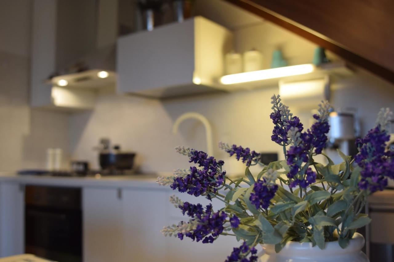 Apartment Calilla - Maestrale